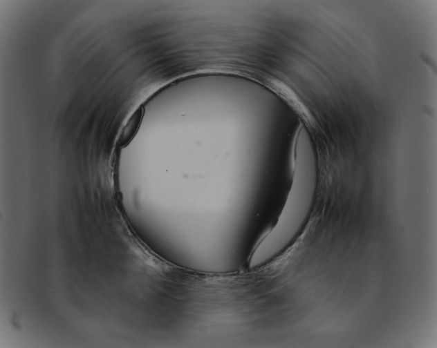 X0000092250908200710121256