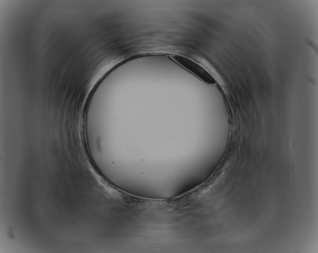 X0000092250909200710121256