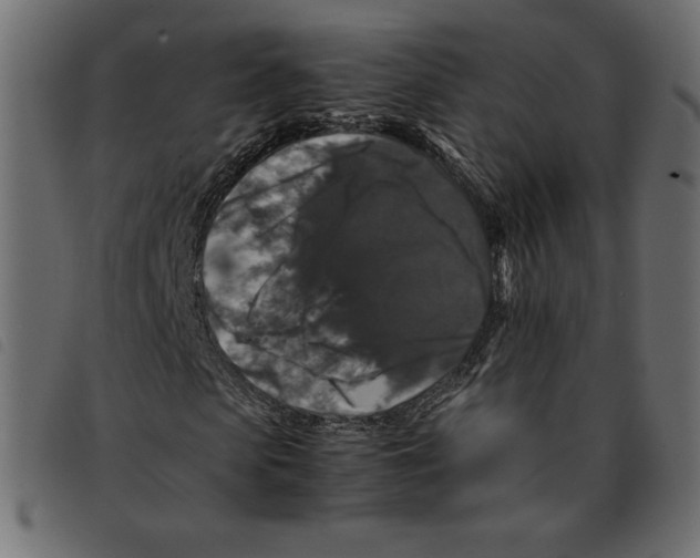 X0000092250913200710121256