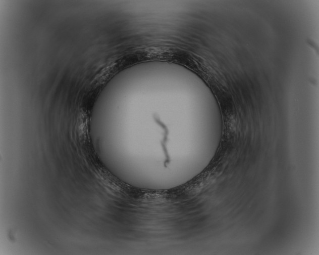 X0000092250914200710121256