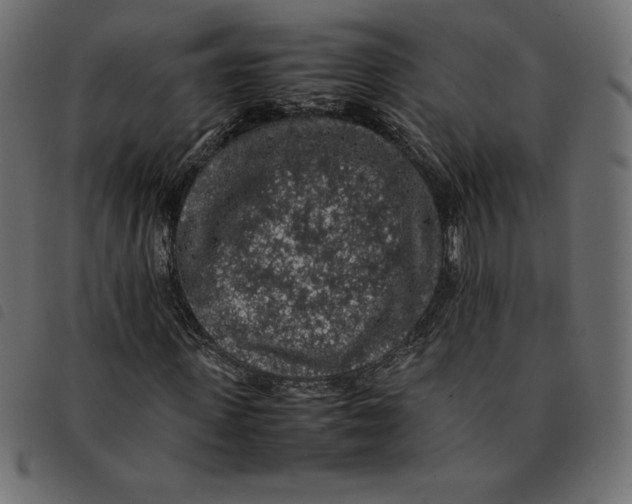X0000092250915200710121256