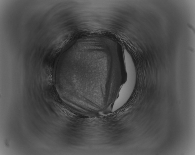 X0000092250916200710121256