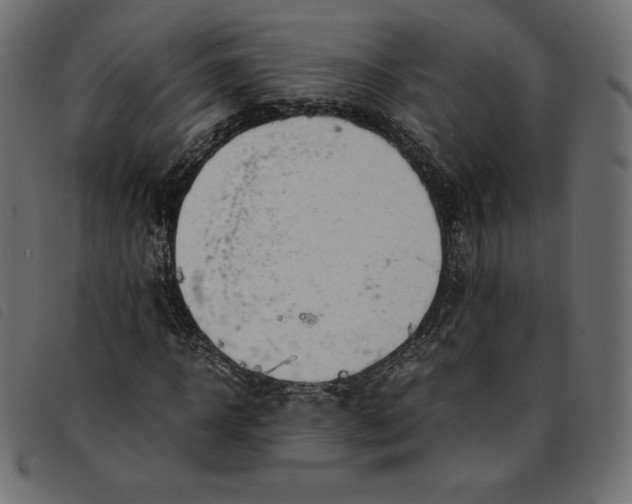 X0000092250918200710121256