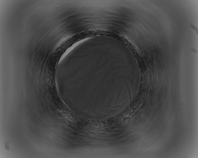 X0000092250919200710121256
