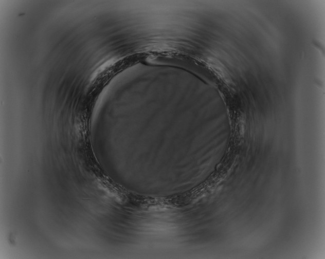 X0000092250920200710121256