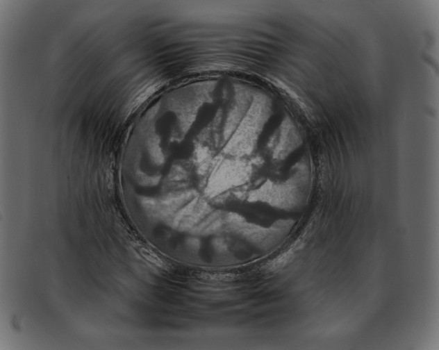 X0000092250921200710121256