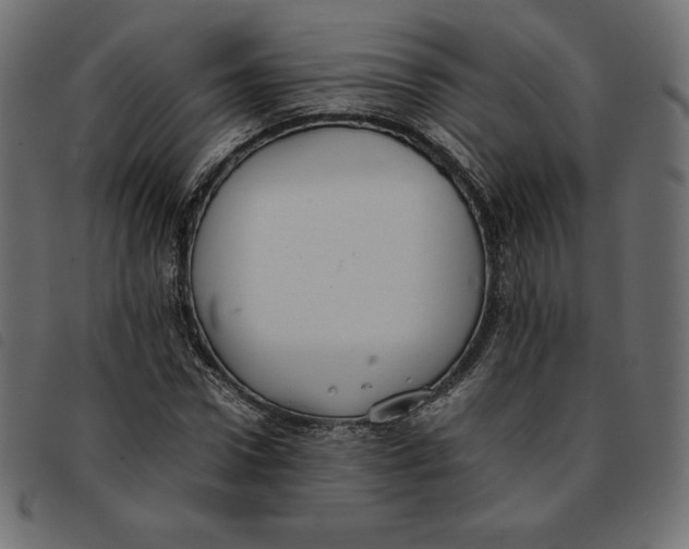 X0000092250922200710121256