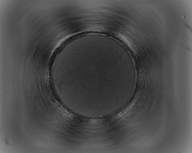 X0000092250923200710121256