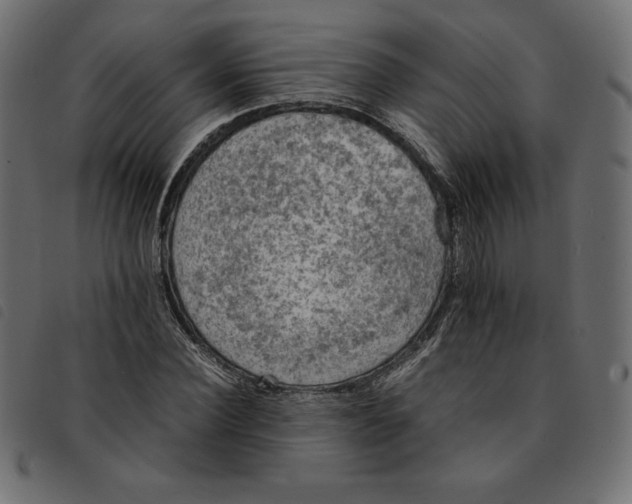X0000092250924200710121256