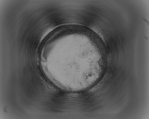 X0000092250925200710121256