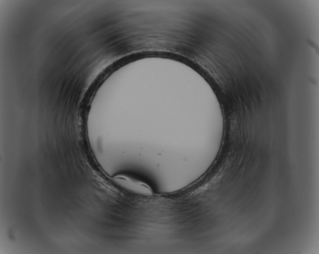 X0000092250926200710121256