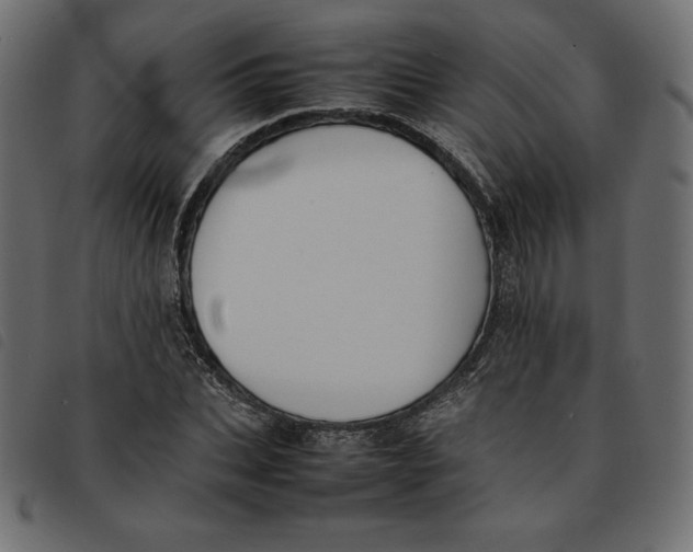 X0000092250927200710121256