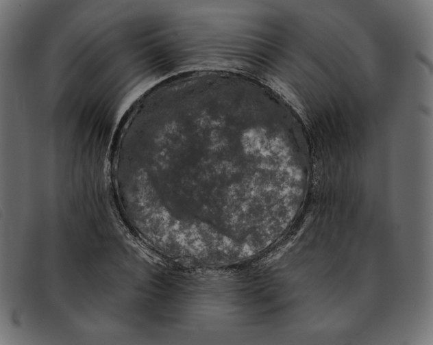 X0000092250928200710121256