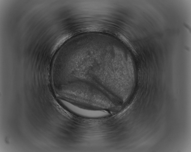 X0000092250930200710121256