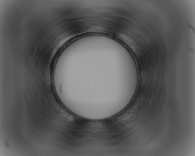 X0000092250931200710121256