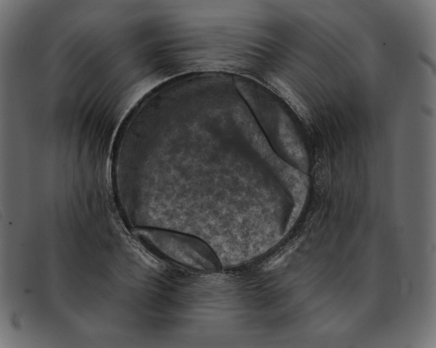 X0000092250932200710121256