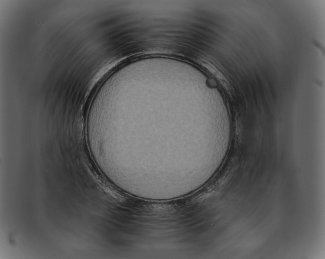 X0000092250933200710121256