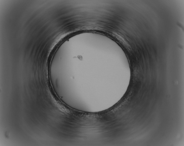 X0000092250934200710121256