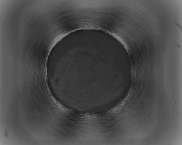 X0000092250935200710121256