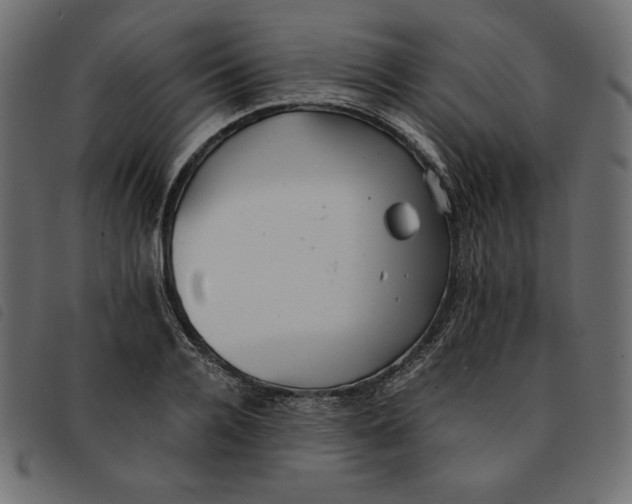X0000092250936200710121256