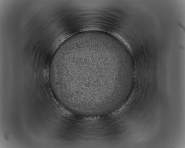 X0000092250937200710121256