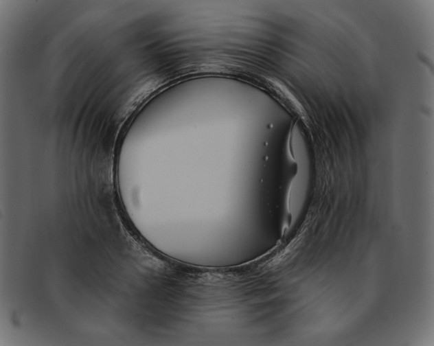 X0000092250938200710121256