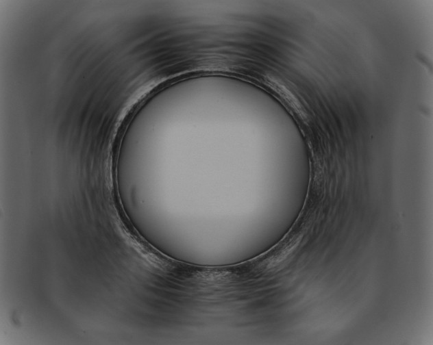 X0000092250939200710121256