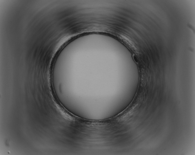 X0000092250942200710121256