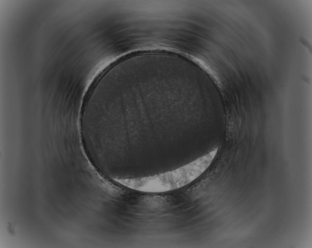 X0000092250943200710121256