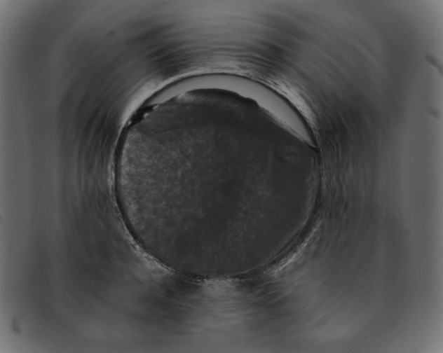 X0000092250944200710121256