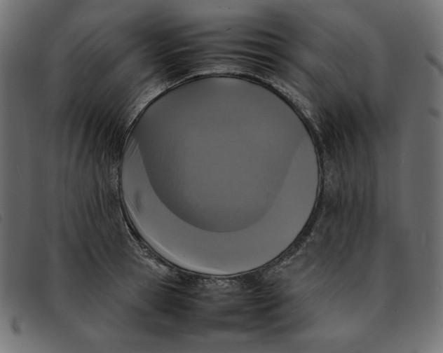 X0000092250945200710121256