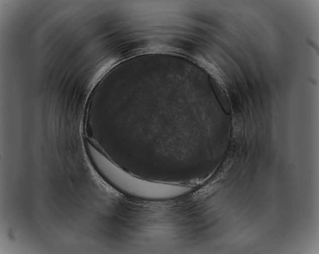 X0000092250946200710121256