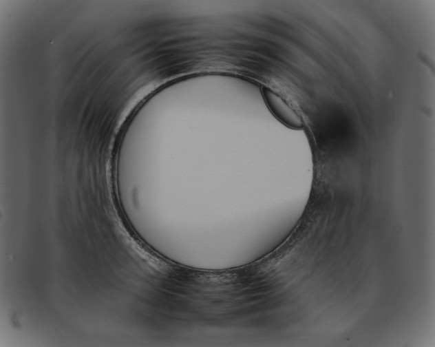 X0000092250947200710121256