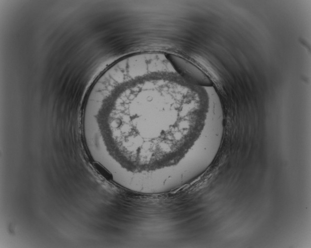 X0000092250948200710121256