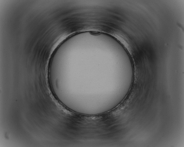 X0000092250949200710121256