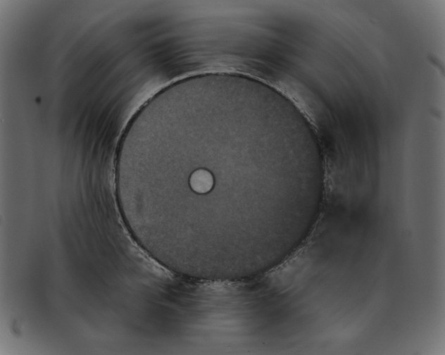 X0000092250950200710121256
