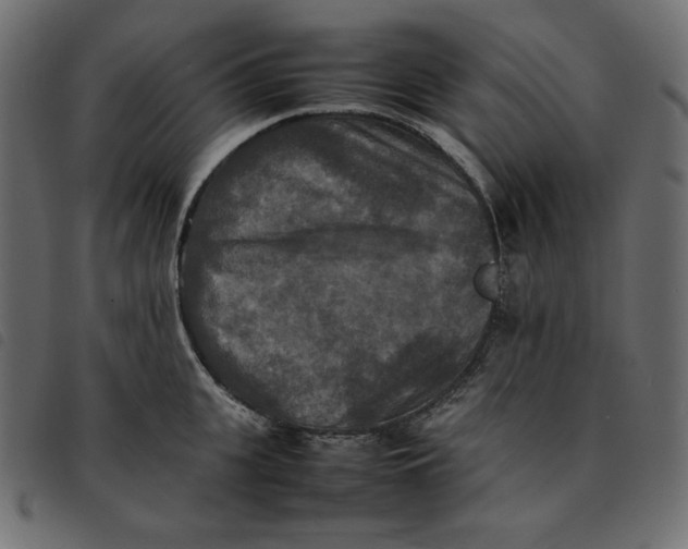 X0000092250951200710121256