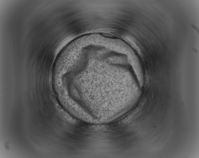 X0000092250952200710121256