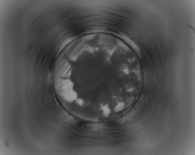 X0000092250953200710121256