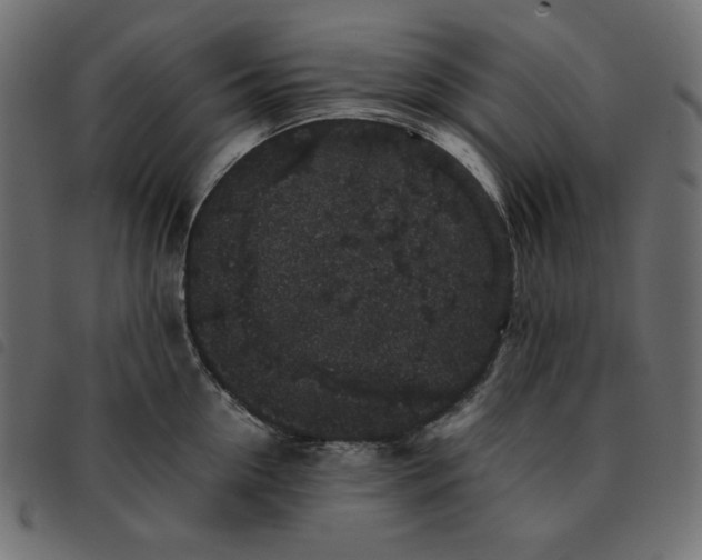 X0000092250954200710121256