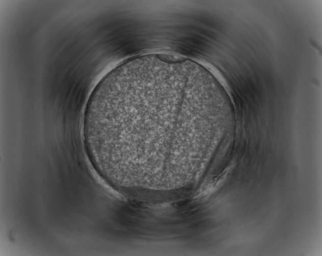 X0000092250957200710121256