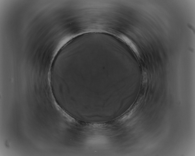 X0000092250958200710121256