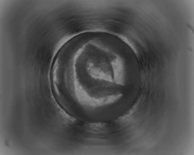 X0000092250959200710121256