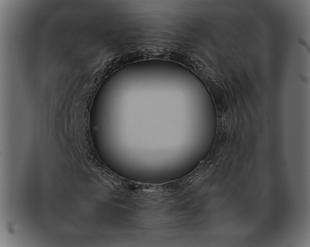 X0000092250961200710121256