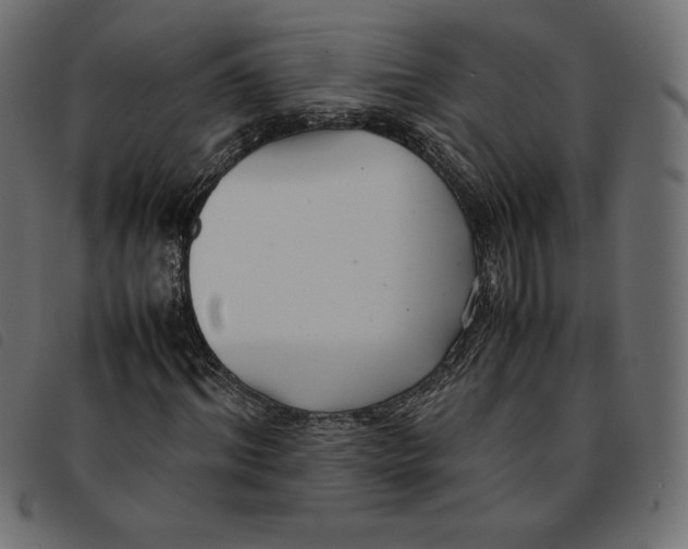 X0000092250964200710121256