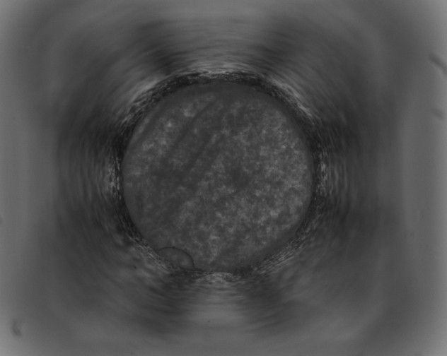 X0000092250966200710121255