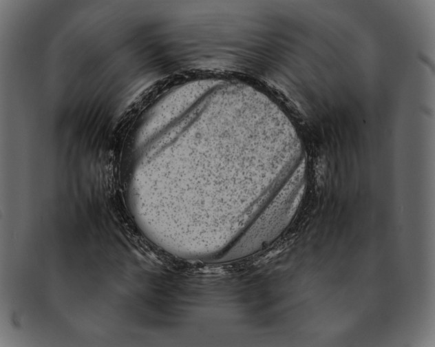 X0000092250968200710121255