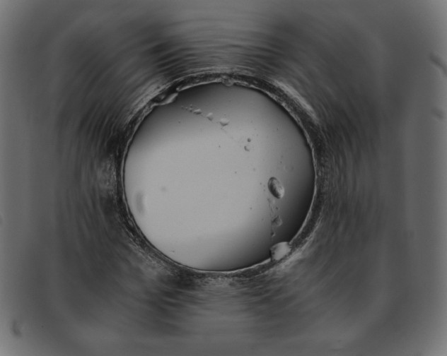 X0000092250969200710121255