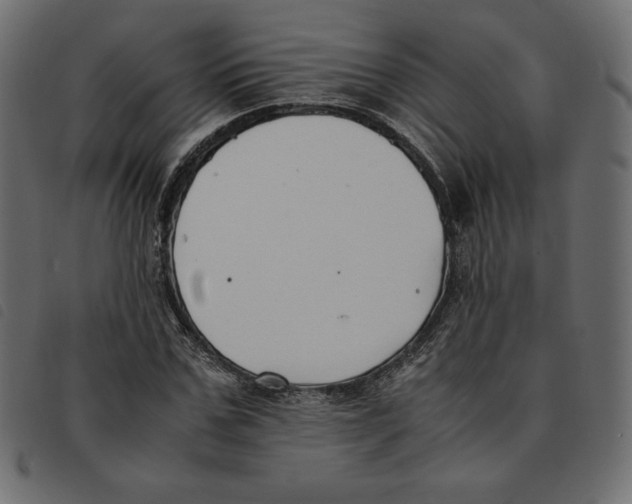 X0000092250971200710121255