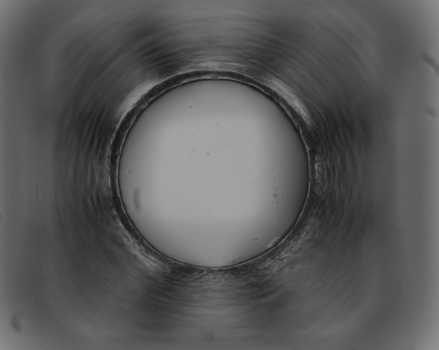 X0000092250972200710121255